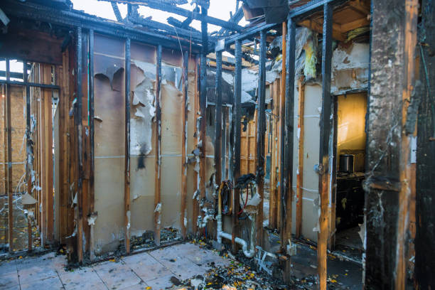 Professional Smoke Damage Removal technician working in Dennison, OH